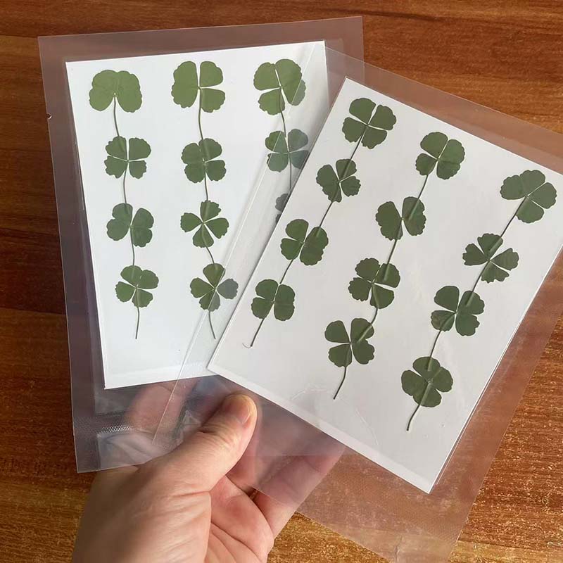 48, 60, 120 pièces / Feuillage - Red Clover Flower avis et prix