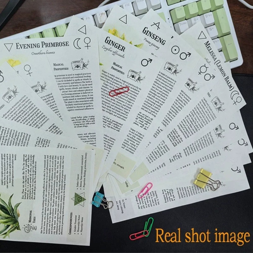 Livre de recettes de teintures - Herbal Wellness Book avis et prix