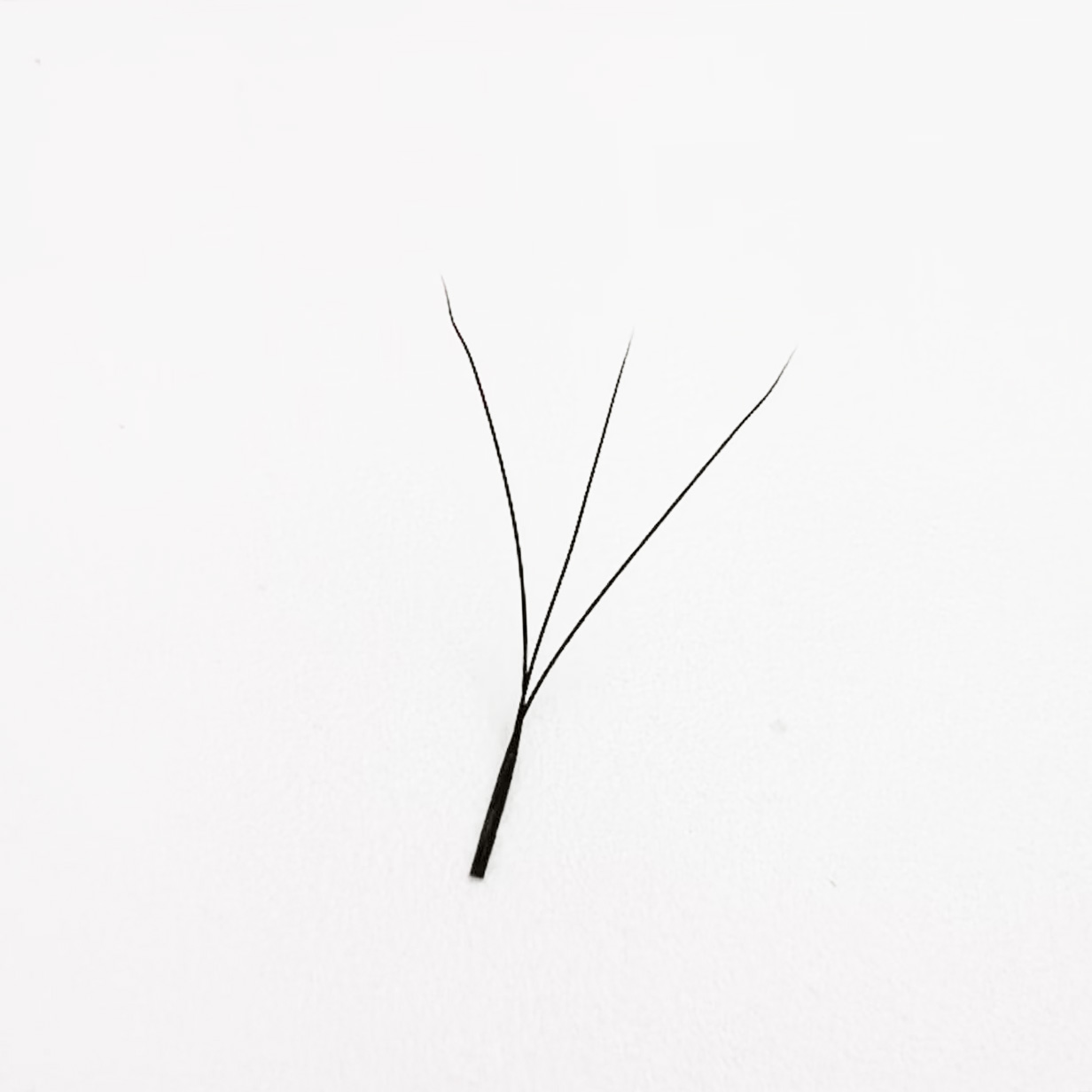 Extensions de cils 3D en forme - Red Clover Flower avis et prix